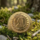 Gold Plated Perfection