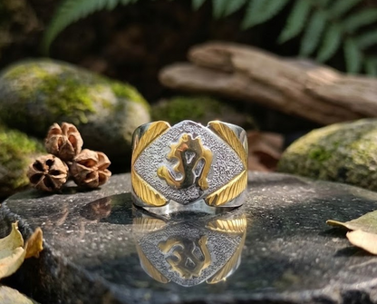 DIVYORO TWO-TONE OM DIAMOND-SHIELD SIGNET RING